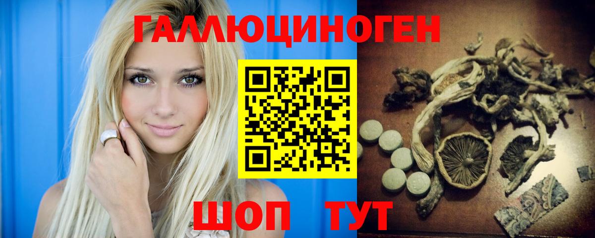 Щёлково  Псилоцибиновые грибы GOLDEN TEACHER  Вход с VPN 